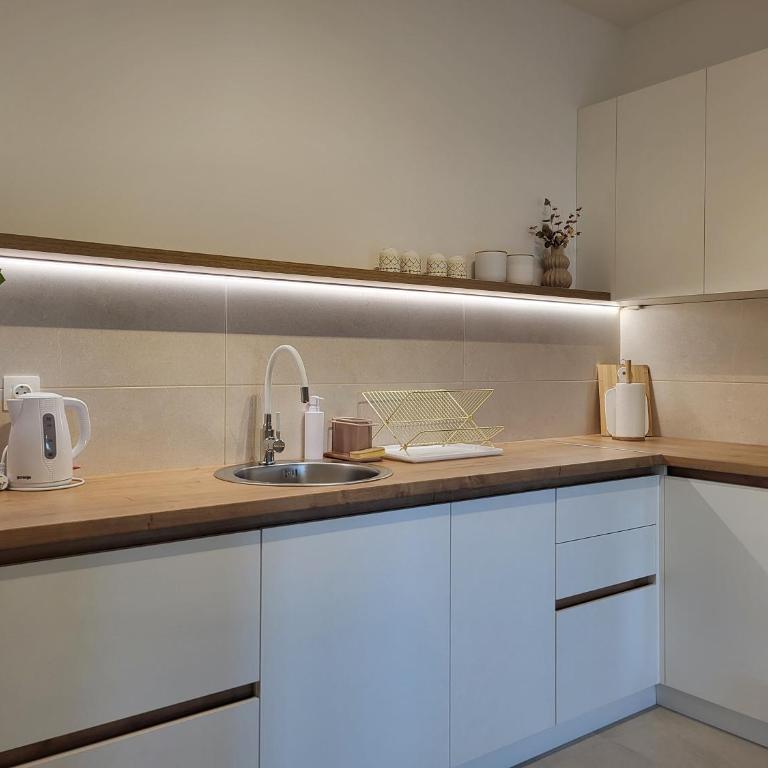 Green view apartment - One-Bedroom Apartment - 14