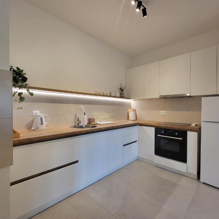 Green view apartment - One-Bedroom Apartment - 17