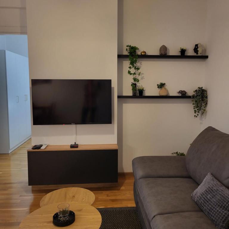 Green view apartment - One-Bedroom Apartment - 5