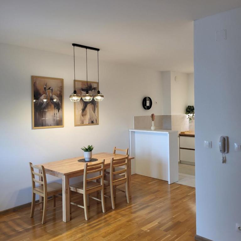 Green view apartment - One-Bedroom Apartment - 11