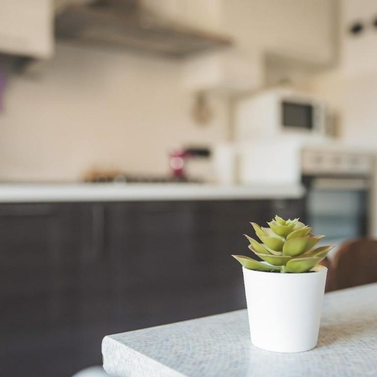 La Casa Del Conte - Appartamento con 2 Camere da Letto - 1