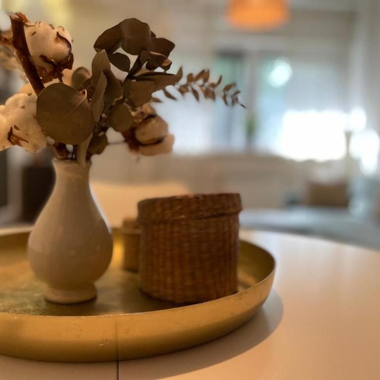 Belgrade Blue Oasis - Apartman sa 1 Spavaćom Sobom - 2