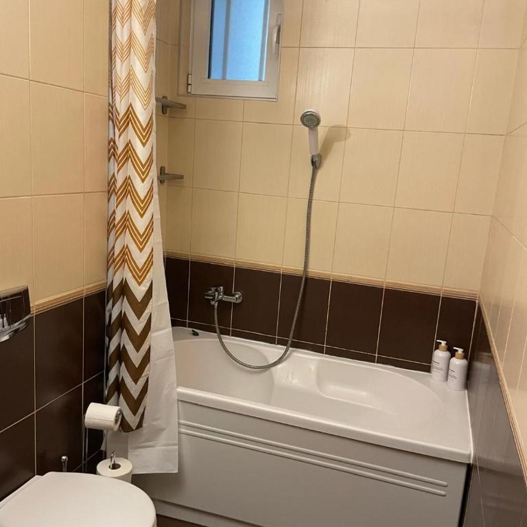 Belgrade Blue Oasis - Apartman sa 1 Spavaćom Sobom - 7