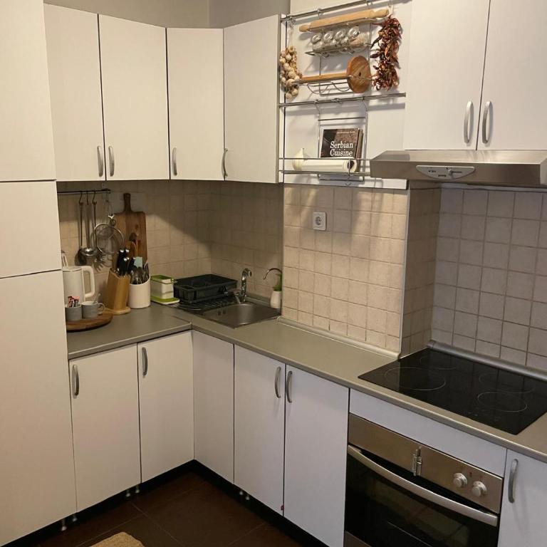 Belgrade Blue Oasis - Apartman sa 1 Spavaćom Sobom - 8