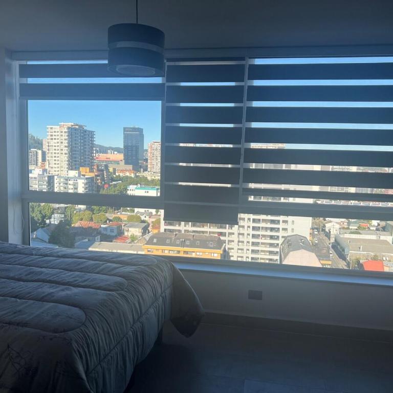 Studio-type apartment - One-Bedroom Apartment - 3
