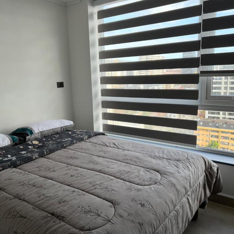 Studio-type apartment - One-Bedroom Apartment - 5