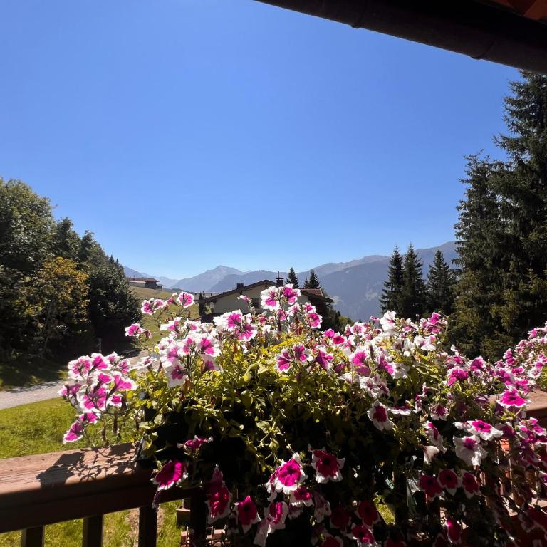 Ferienhaus Zillertal Rohrberg mit Panoramablick und Sauna - Apartment mit 2 Schlafzimmern - 66