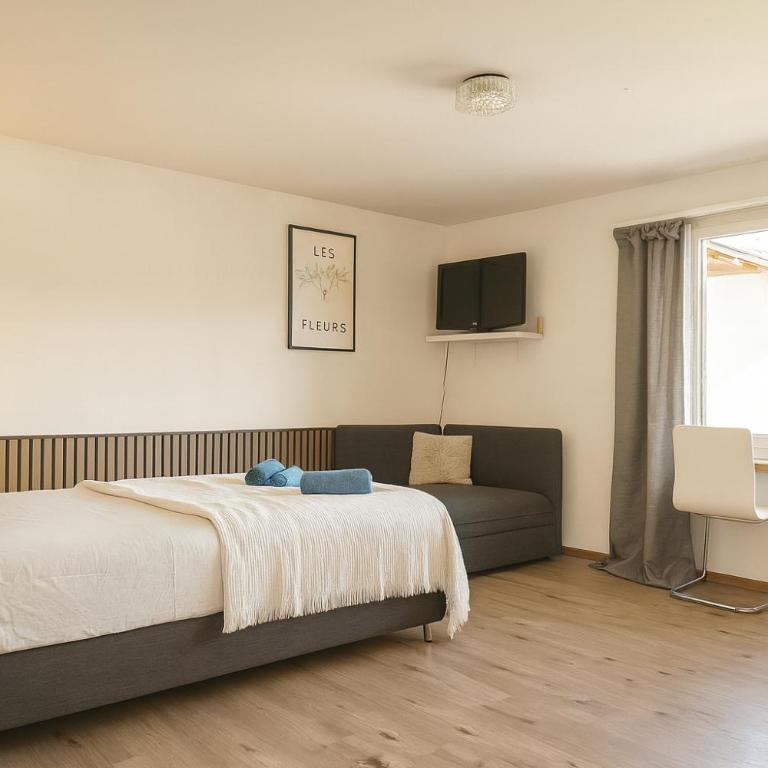 Zentral Studio - Apartment mit 1 Schlafzimmer - 4