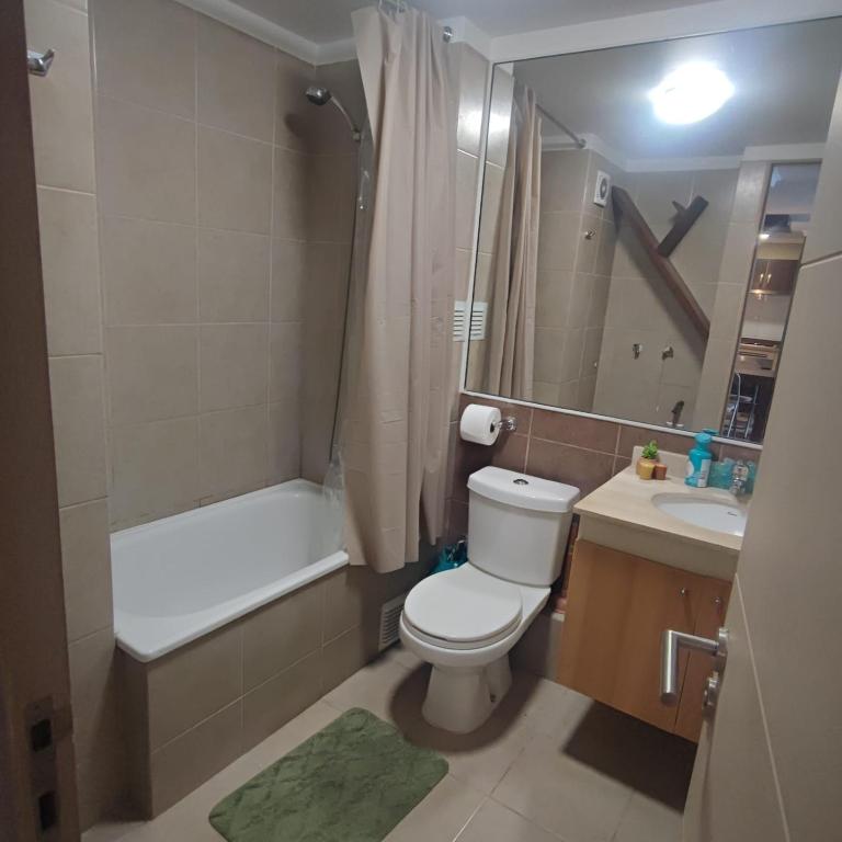Trio Urbano - Two-Bedroom Apartment - 15