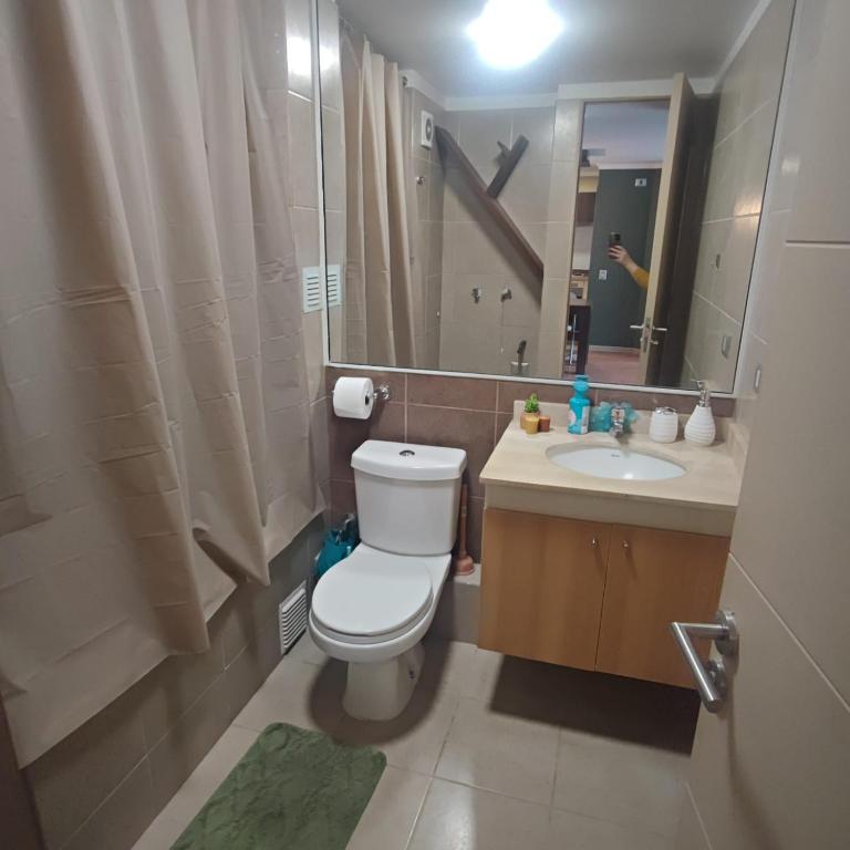 Trio Urbano - Two-Bedroom Apartment - 16
