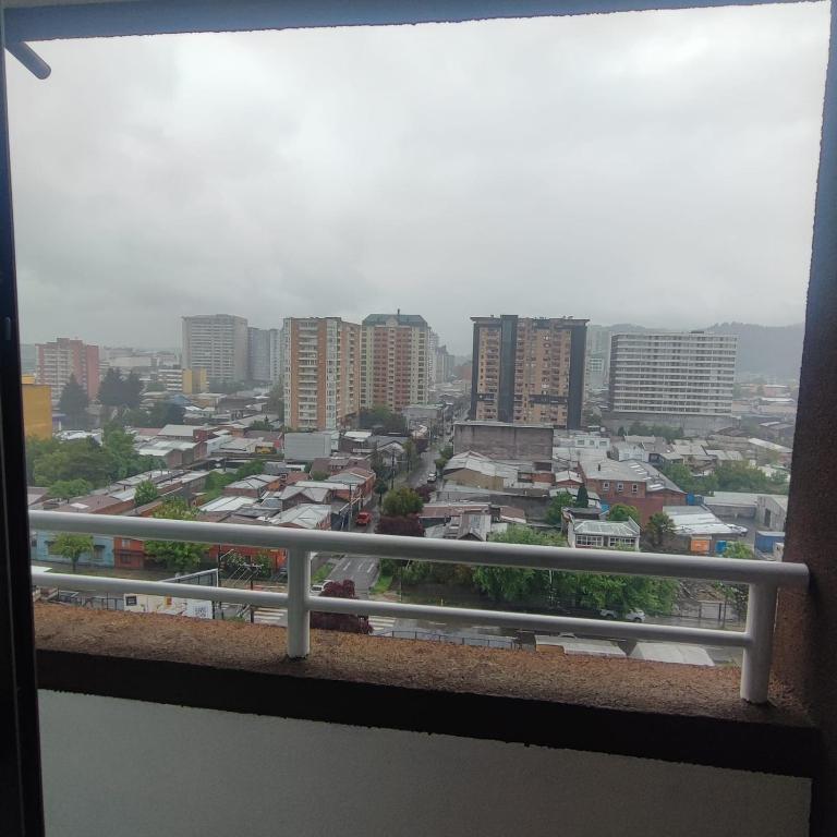 Trio Urbano - Two-Bedroom Apartment - 17