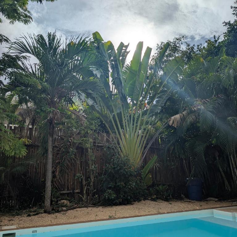 Luxury 4 Bedroom Villa with Private Pool - Villa Deluxe - 51