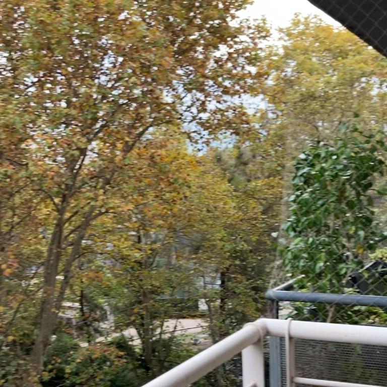 Piso en Palermo Chico - Apartamento de 1 dormitorio - 16