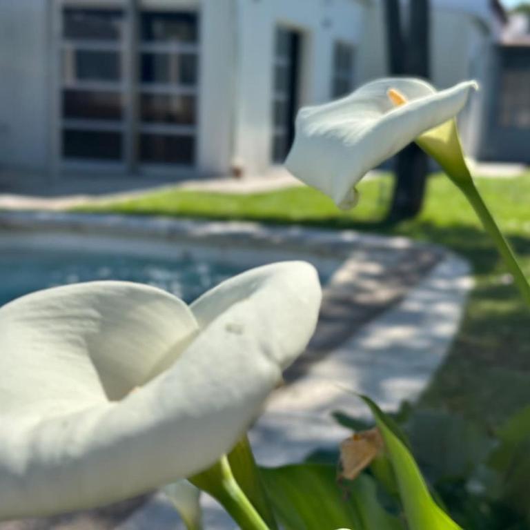 La Luján Ayres de Campo - Two-Bedroom House - 35