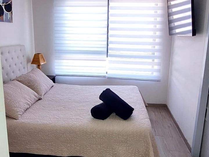 Sensacional Departamento Centro - Mar 1D 1B - Apartamento de 1 dormitorio - 25