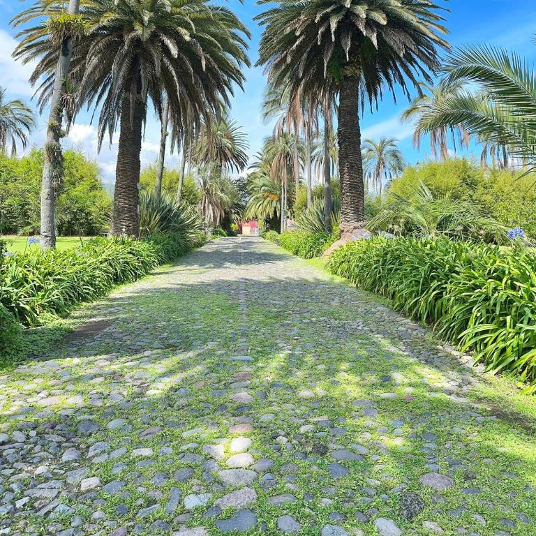 House in Los Chillos - private complex - Casa de 4 dormitorios - 49
