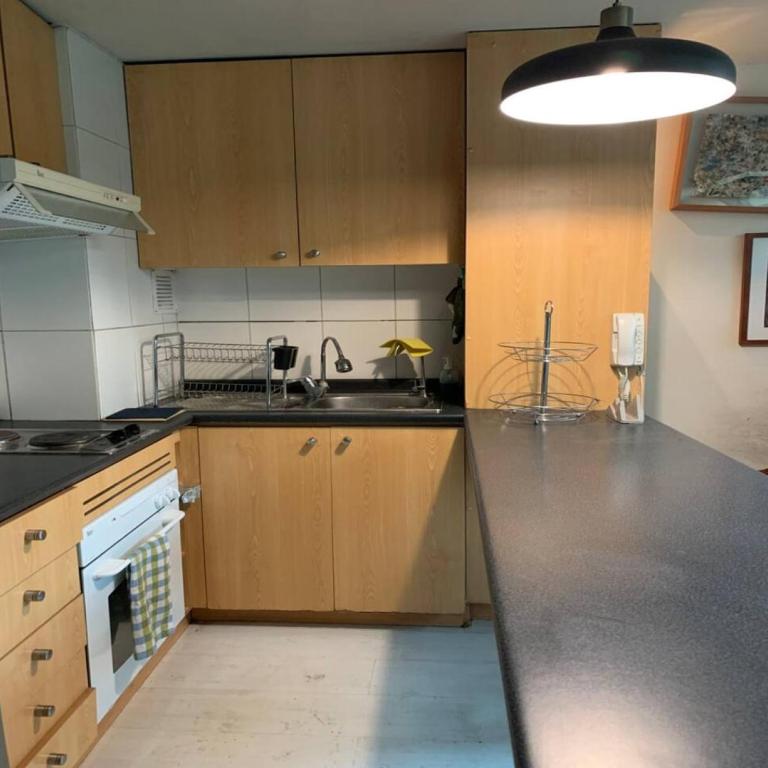 1D1B Loft Smart - Providencia - Apartamento - 7