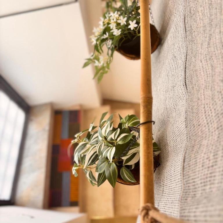 Marie Claire Guest House - Appartamento con 2 Camere da Letto - 25
