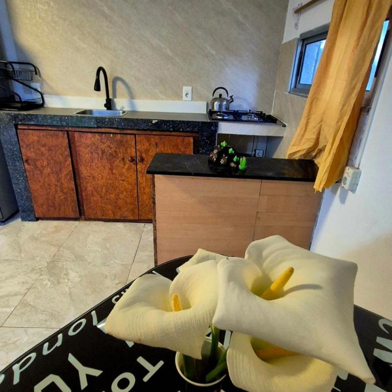 Renacer - Casa con 1 dormitorio - 22