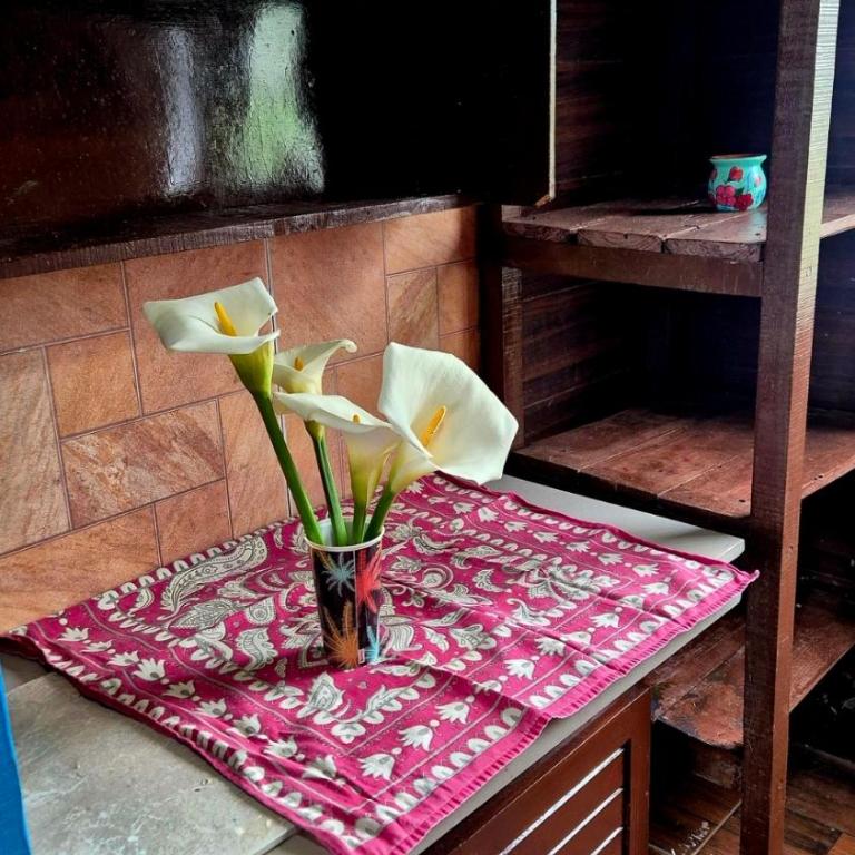 Renacer - Casa con 1 dormitorio - 26