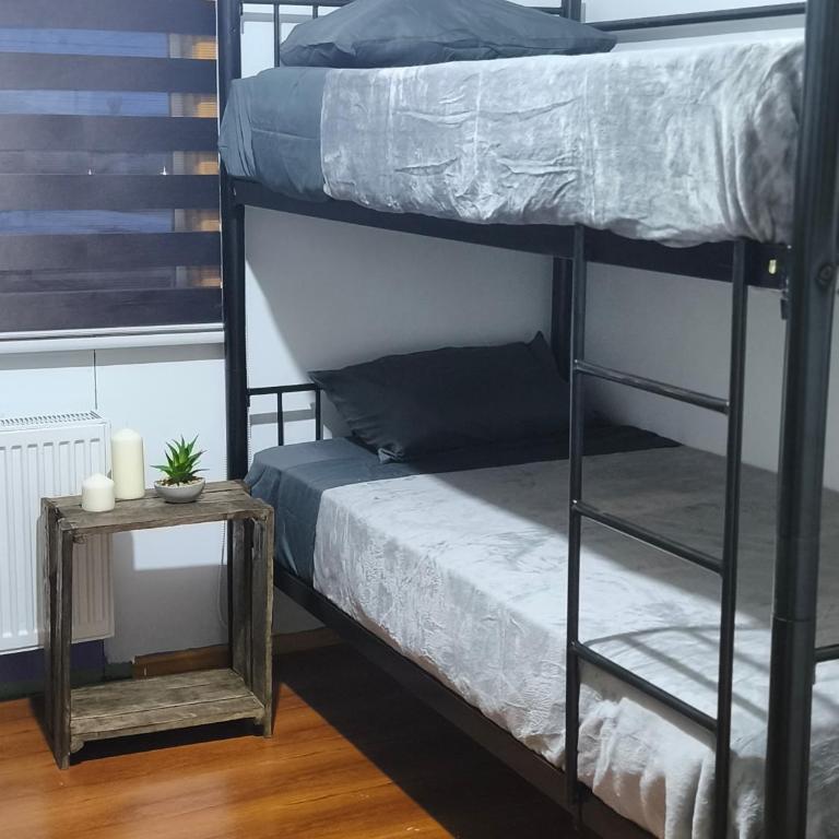 Vive Hostel - 4-Bed Mixed Dormitory Room - 5