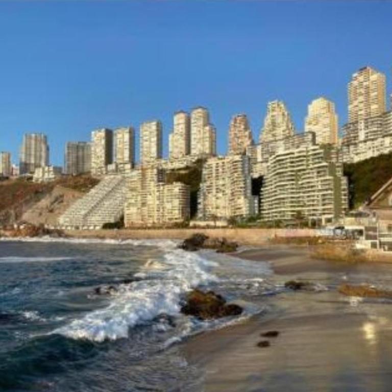 Hermoso departamento en Reñaca - One-Bedroom Apartment - 4