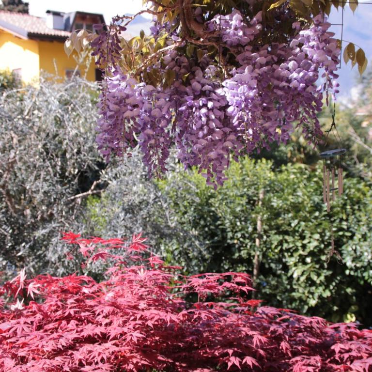 Casa Vacanze Claudette - Appartamento con Balcone - 17