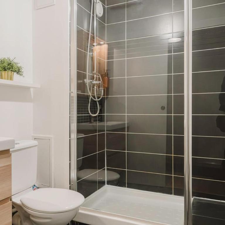 Fully-equipped apartment near the center of Lille - One-Bedroom Apartment - 16