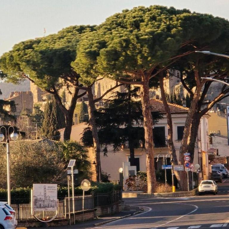 Lakeview Balcony Apartment in Bolsena - Apartment - 26