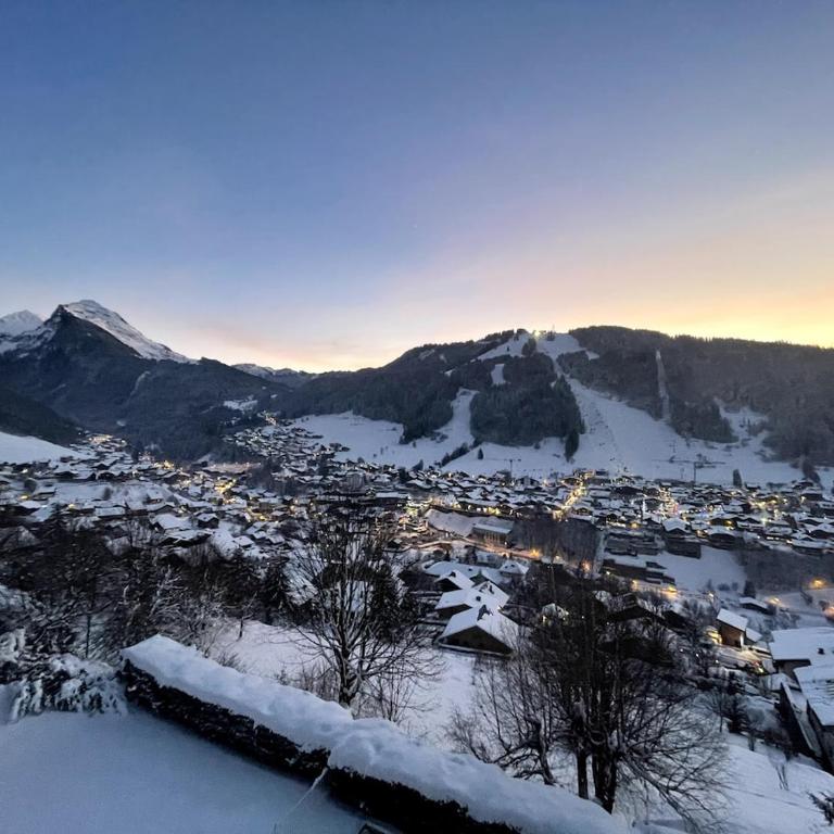 Appartement à Morzine Le Morzena - Studio - 9
