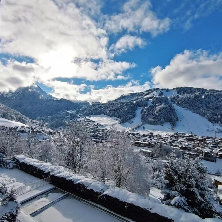 Appartement à Morzine Le Morzena - Studio - 18