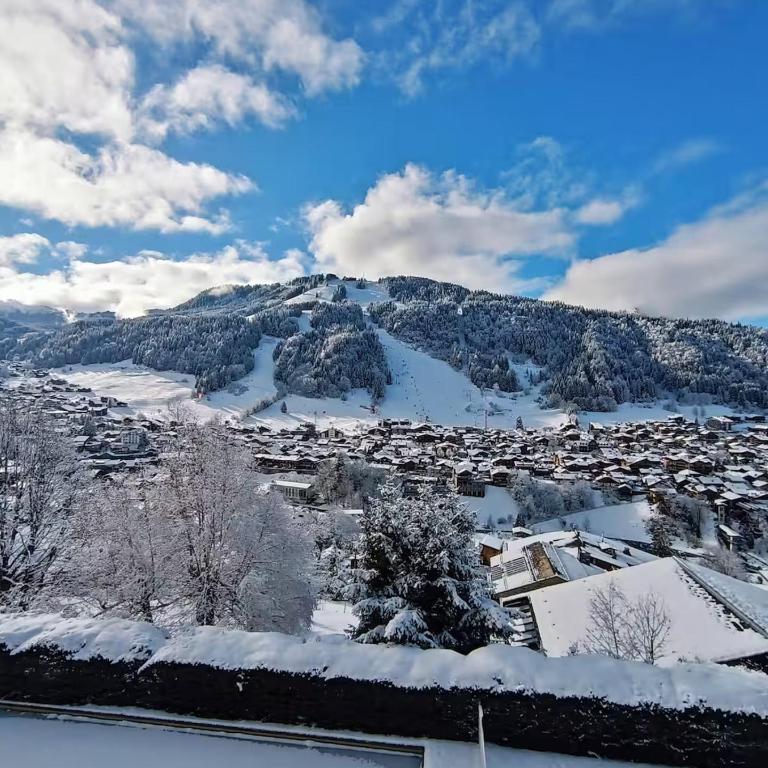 Appartement à Morzine Le Morzena - Studio - 20