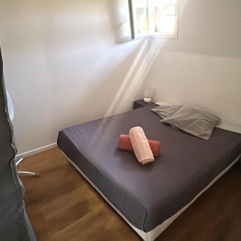 Appartement T2 coconing, WIFI, INTERNET, CLIM, 300m plage - Appartement 2 Chambres - 3
