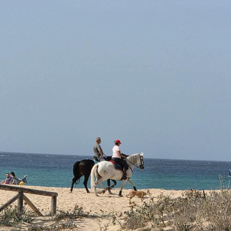 Extraordinary apartment in Zahara de los Atunes - Three-Bedroom Apartment - 33