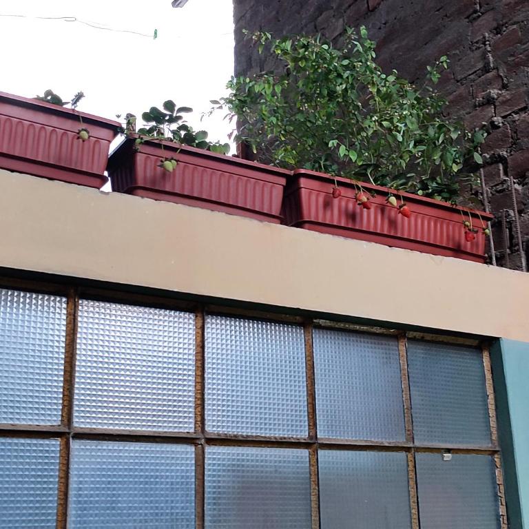 Dpto Amplio, TV75in, Cochera, Céntrico y BBQ - Apartamento de 2 dormitorios - 15