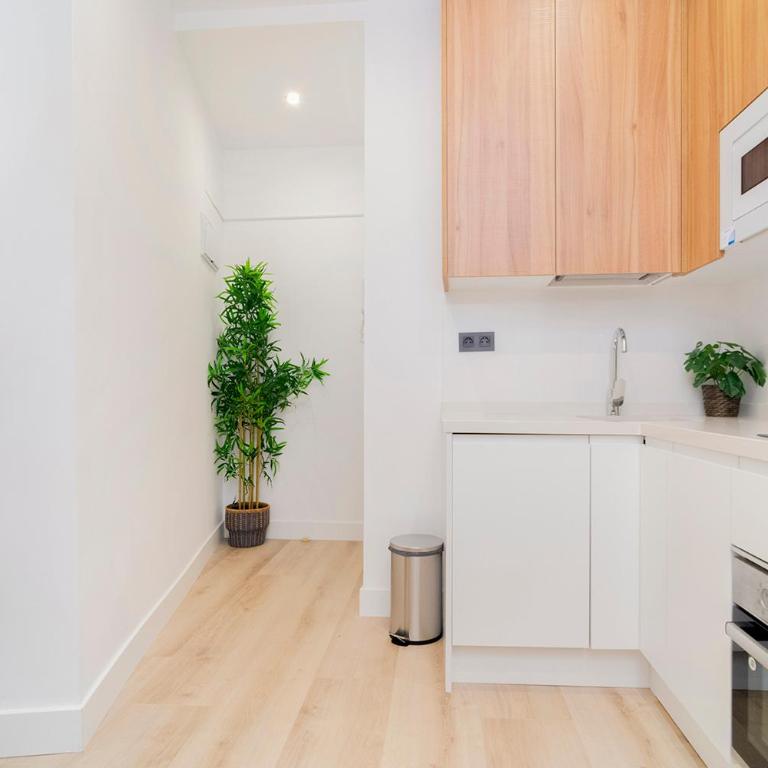 Elegancia junto al arte en Madrid - Two-Bedroom Apartment with Balcony - 15