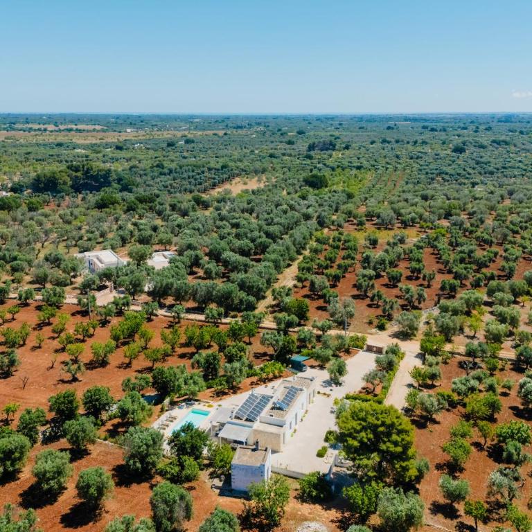 Villa Carina Mima by Wonderful Italy - Villa con Piscina Privata - 54