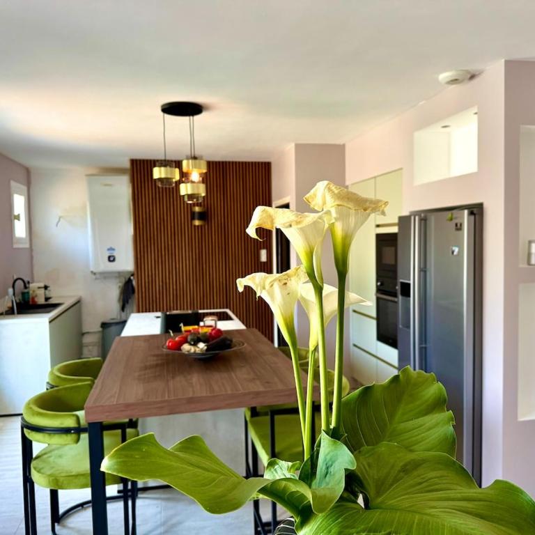Villa atypique avec piscine 12x6 4 chambres pour 9 personnes proche Golf dans parc arbore - Villa - 41
