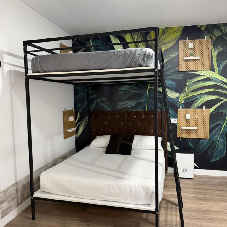 Bouzasol - Apartamento Deluxe - 5