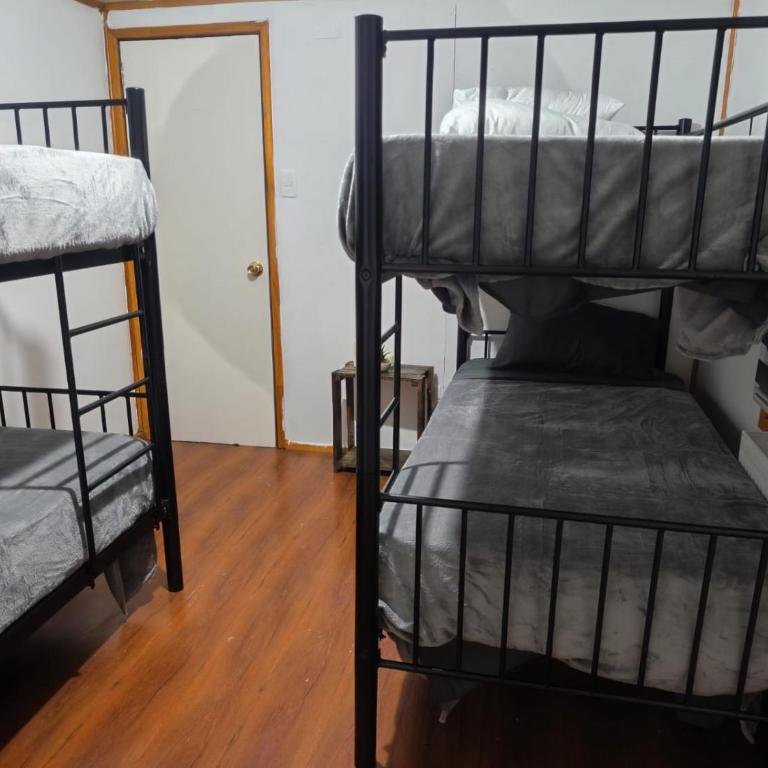 Vive Hostel - 4-Bed Mixed Dormitory Room - 1