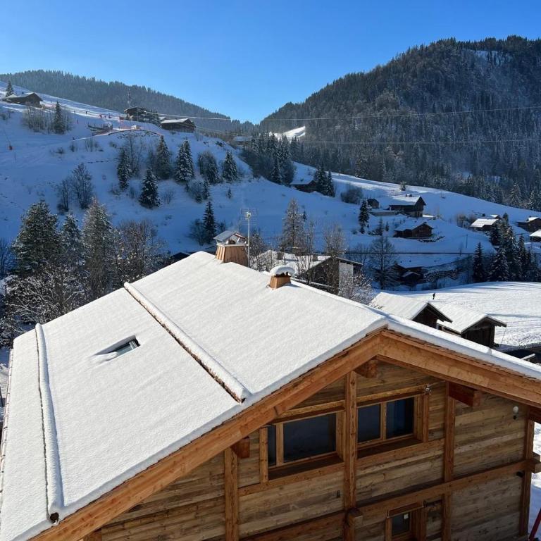 CHALET WHA, pied des pistes - 12 personnes - Chalet Superior - 33