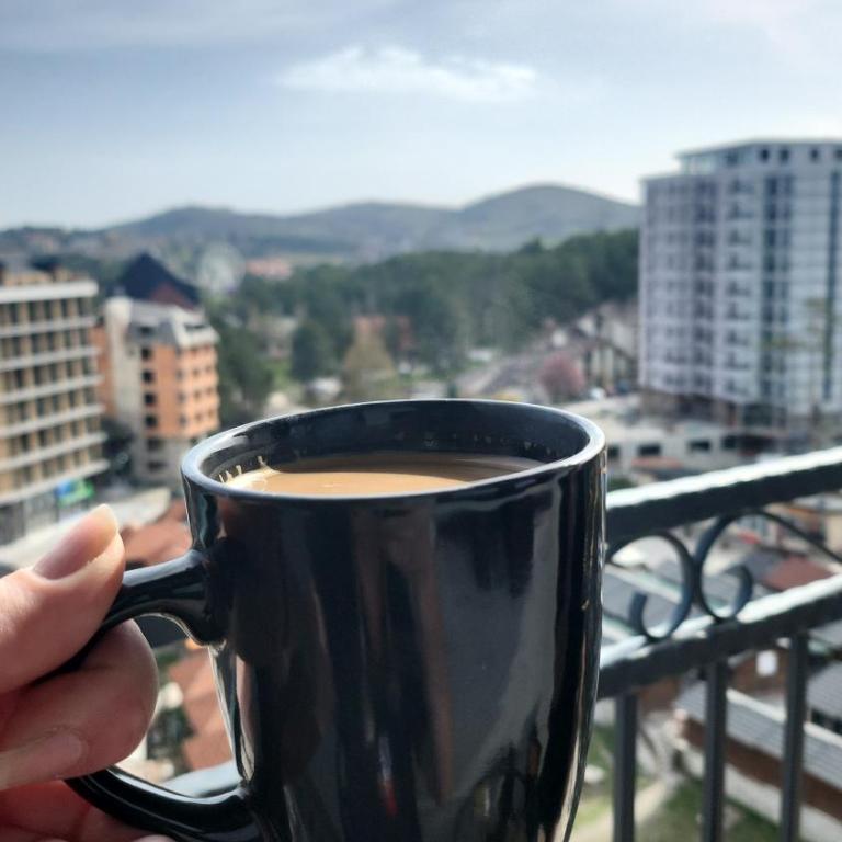 Zlatiborski Raj - Apartman sa 1 Spavaćom Sobom - 8