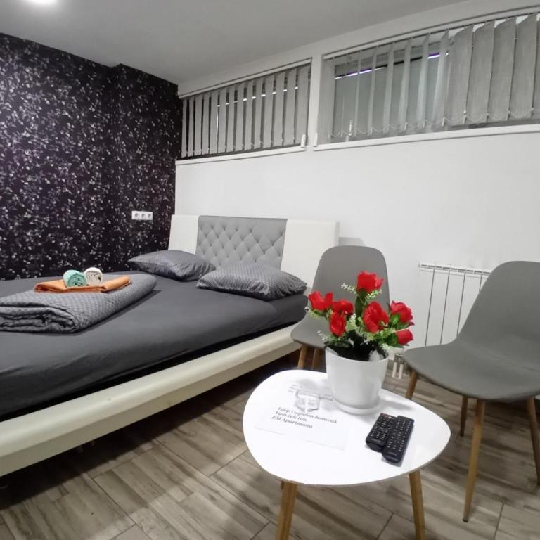 EM Apartments - Studio Apartman - 5