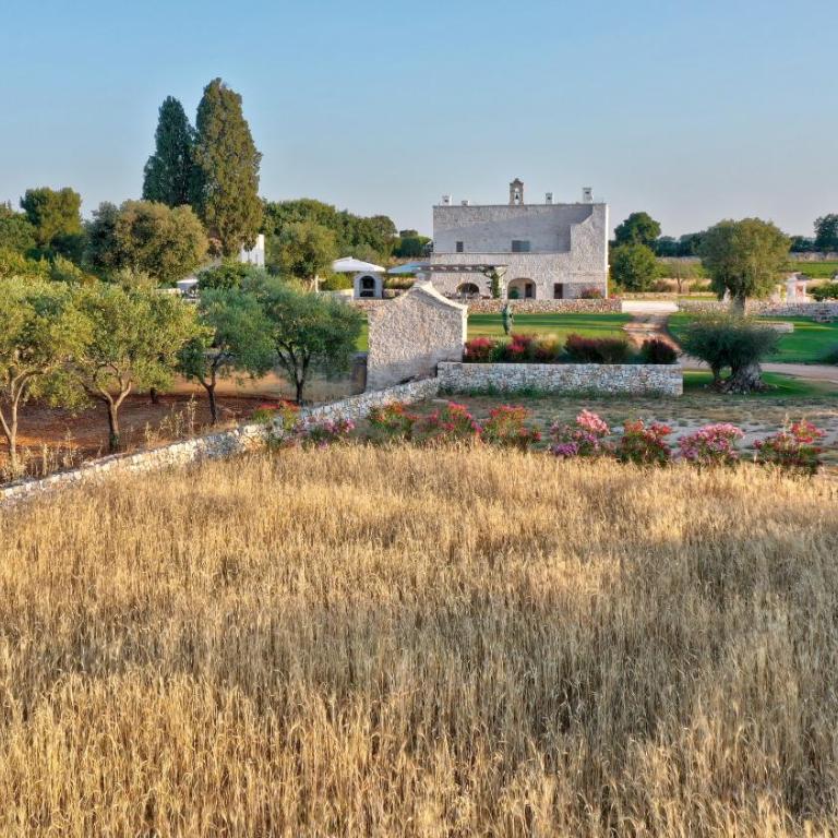 Masseria Saccente - Camera King Deluxe - 2