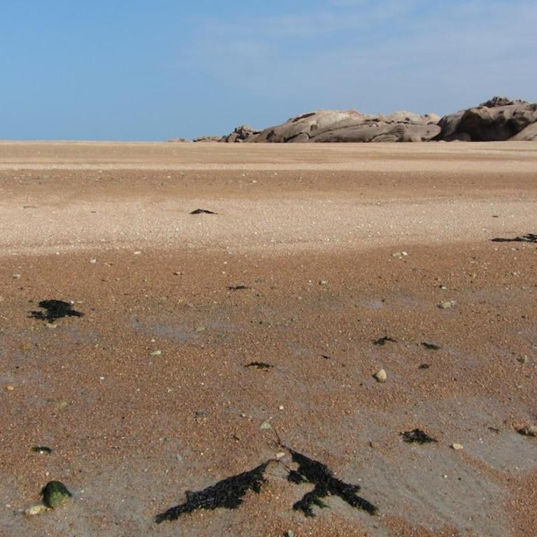 Studio de Standing Perros-Guirec à Proximité Des Plages - Appartement 1 Chambre - 83