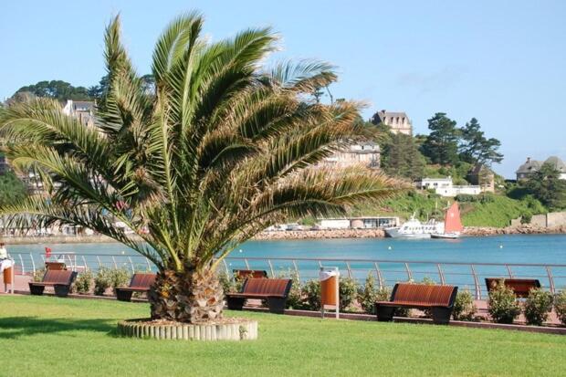 Studio de Standing Perros-Guirec à Proximité Des Plages - Appartement 1 Chambre - 85