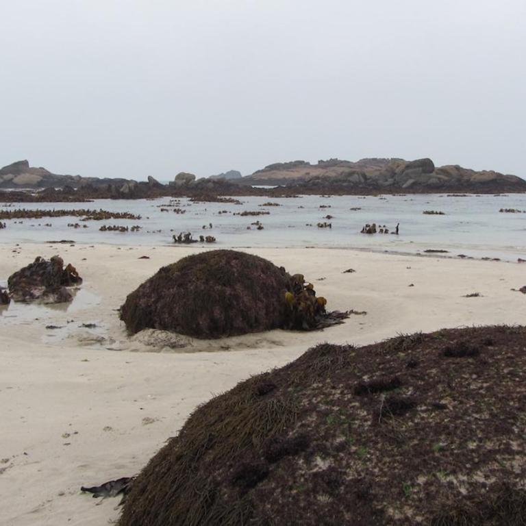 Studio de Standing Perros-Guirec à Proximité Des Plages - Appartement 1 Chambre - 89