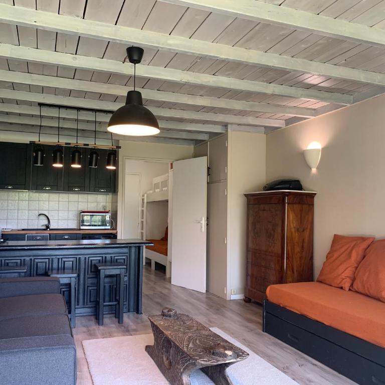 La Godille - Studio Apartment (4 Adults) Pra Loup 1600 - 28
