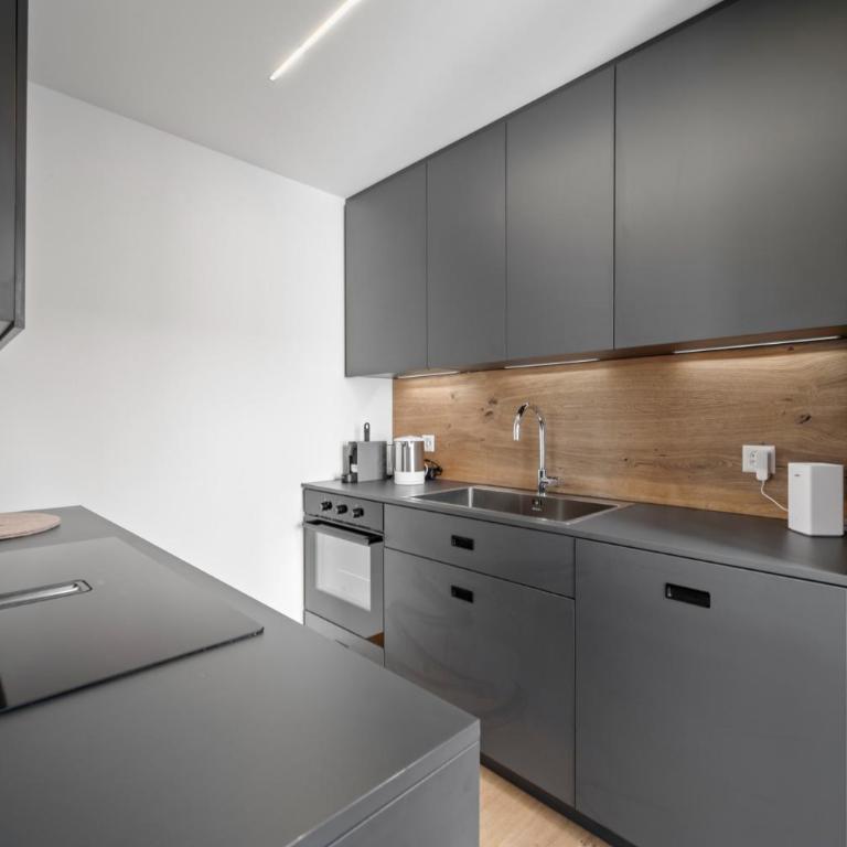 Luxury Lakeview Apartment in St Moritz Center - Two-Bedroom Apartment with Lake View - 5