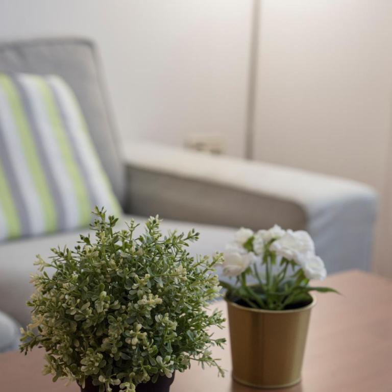 Villa de Madrid 17 - Apartamento de 2 dormitorios - 25